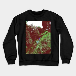 River in the city Crewneck Sweatshirt